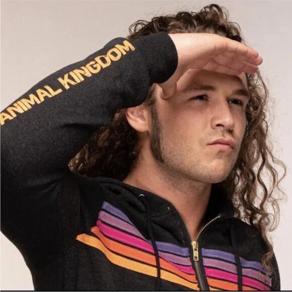 AVIATOR NATION x ANIMAL KINGDOM 5 Stripe Hoodie | Size XS - Picture 4 of 5